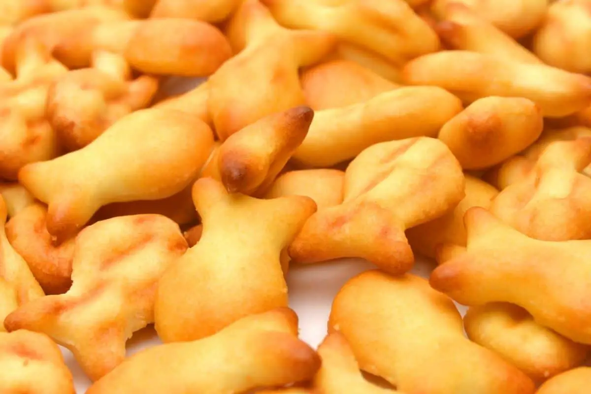 fish biscuit